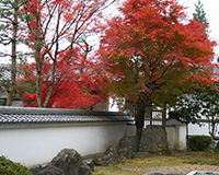 祖師西来の庭